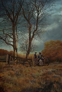  by Pamela Patrick White