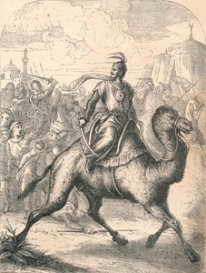 Hızlı Bir Dromedary