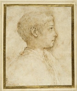 Sağdaki profilde bir çocuk büstü (beyaz kağıt üzerine kalem ve kahverengi mürekkep) by Parmigianino