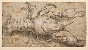 kerevit (rekto) by Parmigianino