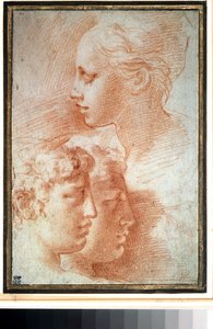 ""Başların incelenmesi"" (Kafaların incelenmesi). Genç kız ve erkek yüz profili. Girolamo Francesco Maria Mazzola veya Mazzuoli tarafından il Parmigianino (Parmesan) adlı çizim by Parmigianino