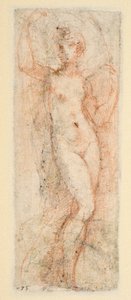 Kadın figürü - Steccata için çalışma (verso) by Parmigianino