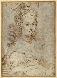Yarım uzunlukta oturan bir kadın (kağıt üzerine kalem ve mürekkep) by Parmigianino
