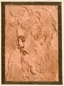 erkek kafa by Parmigianino