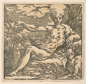 Vaftizci Yahya vahşi doğada by Parmigianino