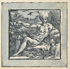 Vaftizci Yahya vahşi doğada by Parmigianino