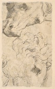 At başlarının iki çalışması (parça) (verso) by Parmigianino