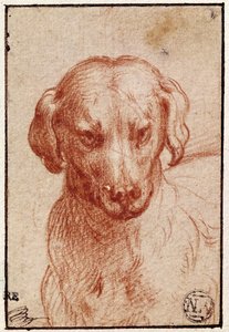 Köpek Başı (kağıt üzerinde kırmızı tebeşir) by Parmigianino