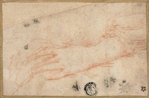  by Parmigianino