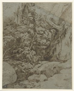 Peyzaj çalışması by Parmigianino