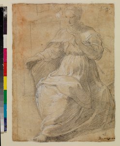Bir distaff tutan kadın by Parmigianino