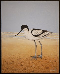  by Pat Scott