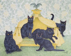  by Pat Scott