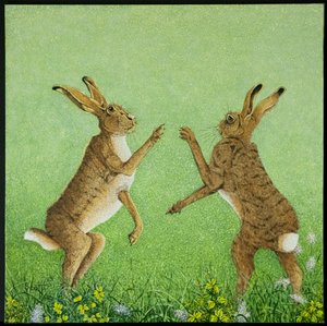 Zeki boks by Pat Scott