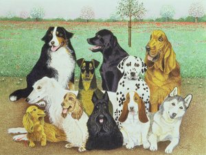  by Pat Scott
