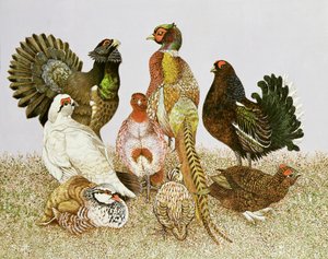  by Pat Scott