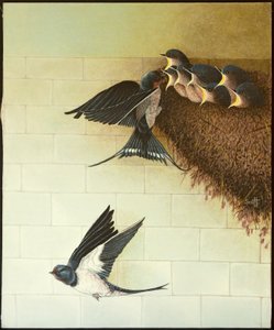  by Pat Scott