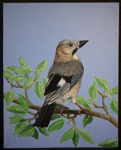 Jay, 2016
