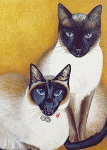 by Pat Scott
