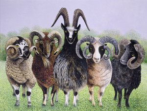  by Pat Scott