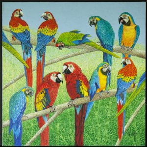  by Pat Scott