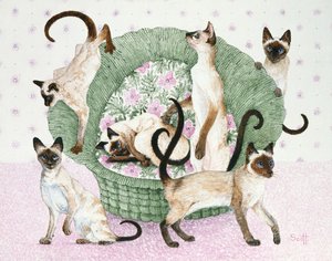  by Pat Scott