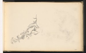 çiçek şube by Paul Cézanne