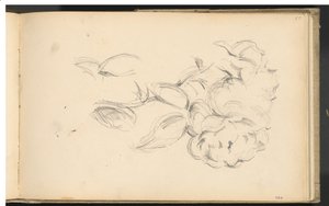 şakayık by Paul Cézanne