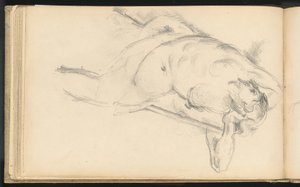 Rubens