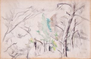 Ağaçlar [rekto]; Pilon du Roi ile Encagnane [geri] by Paul Cézanne