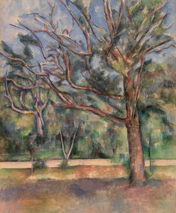 Ağaçlar ve Yol (Arbres et route) by Paul Cézanne