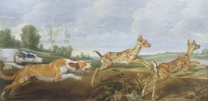 Bir av sahnesi: iki faun kovalayan köpekler
