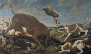 KÖPEKLERİN SALDIRISI BOĞA - 17. YÜZYIL - TUVAL 210 × 346 cm - BAROK FLAMENKO