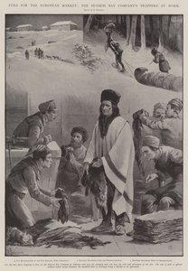 Avrupa Pazarı İçin Kürkler, Hudson Bay Company