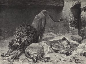 Aslan