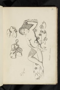 Öncesi ve sonrası - "Dekoratif kişi" çizimi by Paul Gauguin
