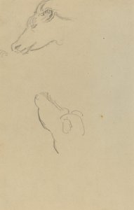 İnek Başı [rekto] by Paul Gauguin