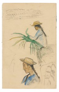Figür Çizimleri, Pandanus Yaprağı ve Vanilya Bitkisi by Paul Gauguin