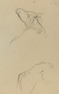 İki İnek Başı [verso] by Paul Gauguin