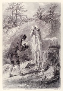 At durdu ve bana baktı, Jonathan Swift