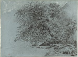 Tam Yapraklı Yabani Kayın by Paul Huet