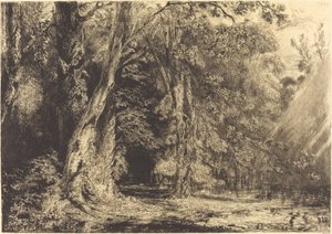 Ile Séguin Ormanında Sel by Paul Huet