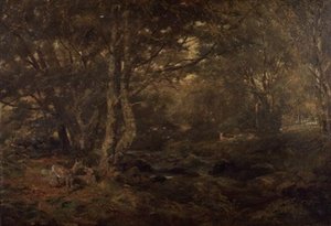 Wood, Pont-y-Gytyn, Kuzey Galler