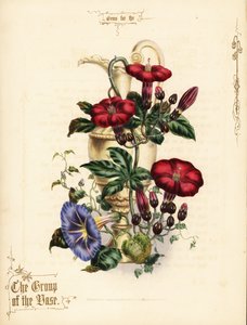 Kırmızı ipomoea buketi ve vazolu mavi sabah zaferi. by Paul Jerrard