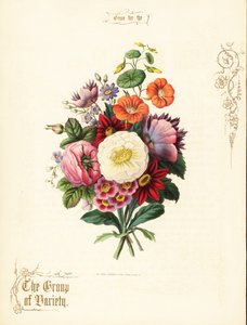 Beyaz gül, dahlia, nasturtium, auricula buketi. by Paul Jerrard