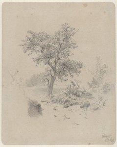 Meşe ile manzara by Paul Joseph Constantin Gabriel