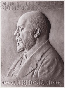 Alfred Giard (1846-1908), zoolog, portre (taş) by Paul Marie Louis Pierre Richer