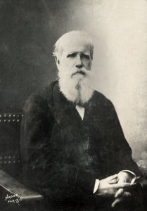 Brezilya İmparatoru Dom Pedro