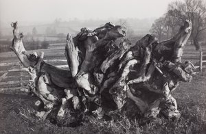  by Paul Nash
