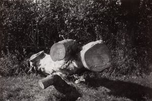  by Paul Nash